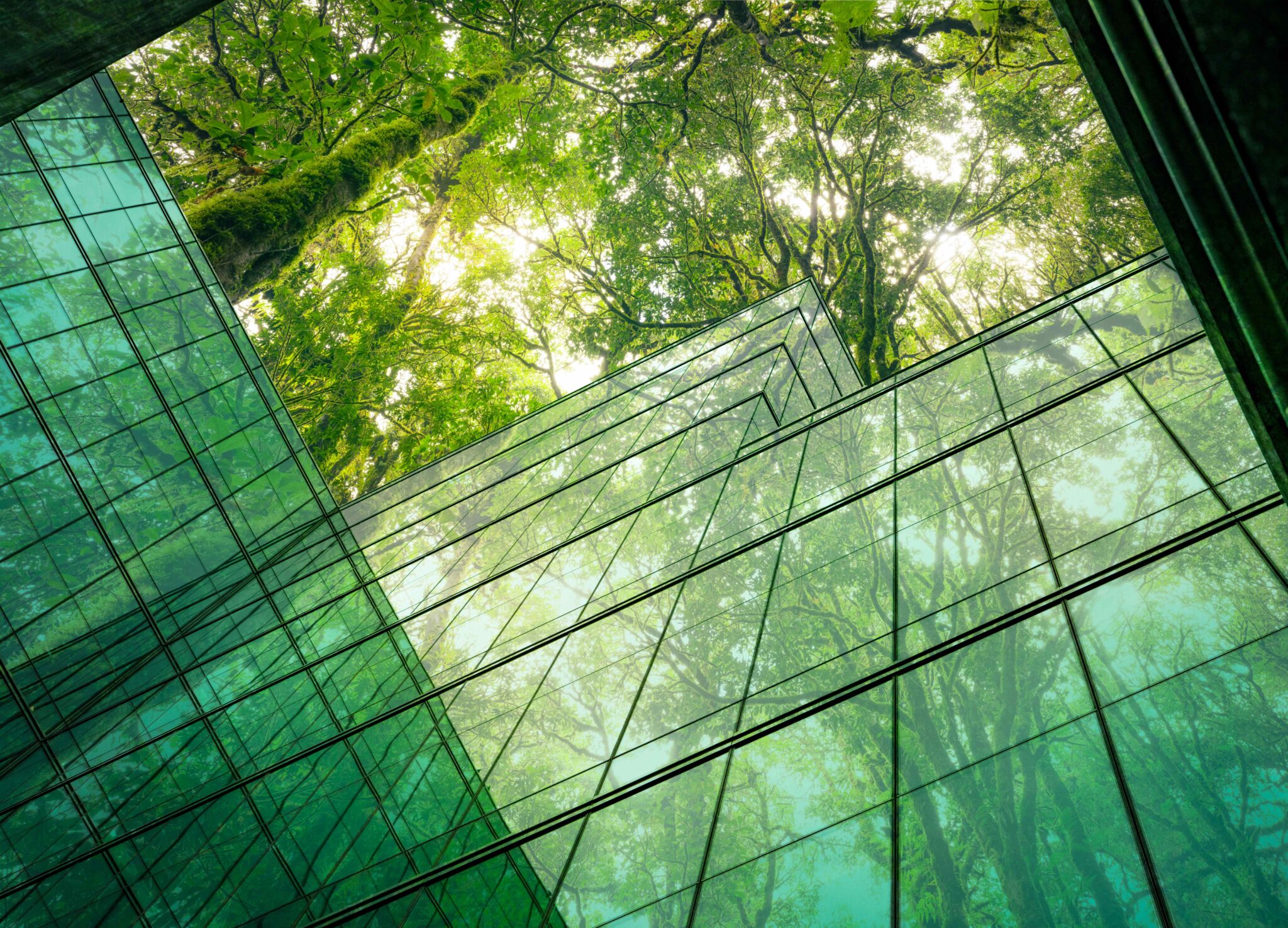Sustainability
